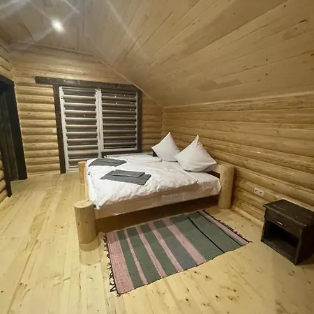 Apartamento карпатська криївка Yasinya