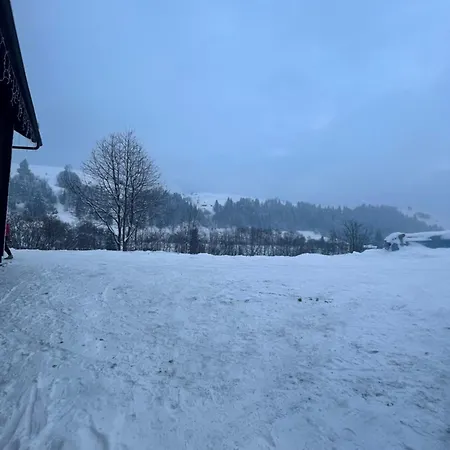 карпатська криївка Apartamento *