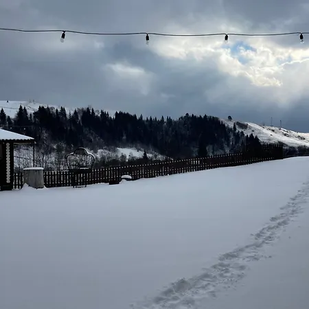 карпатська криївка *