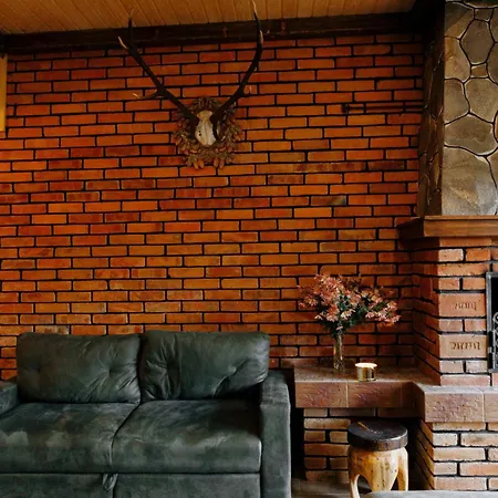 Apartamento карпатська криївка Yasinya