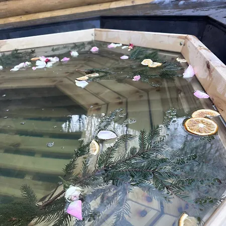 Apartamento карпатська криївка Yasinya