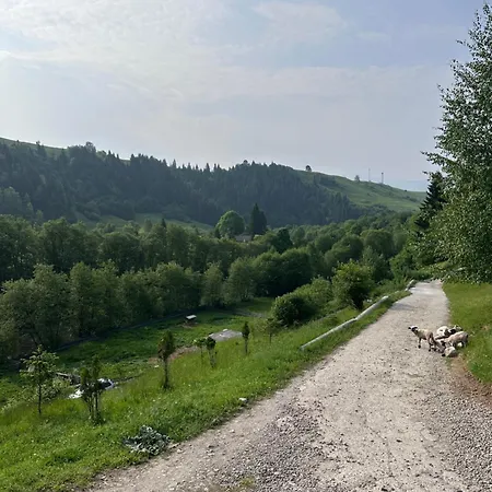 карпатська криївка Apartamento Yasinya