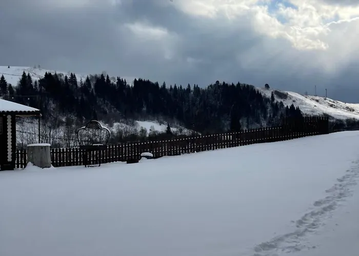 карпатська криївка *